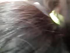 Fucking indian beauty in Car