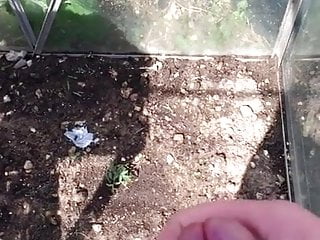Something else grew in the green house!