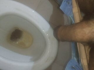 Pissing In Toilet 