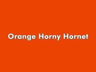 Horny Hornet
