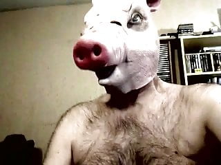 Oinking Pig