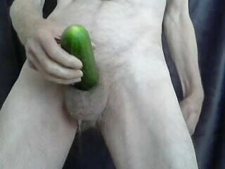 Pissing cucumber.