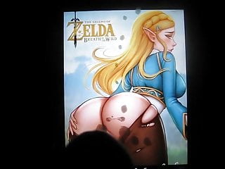 Zelda&#039;s Ass SOP