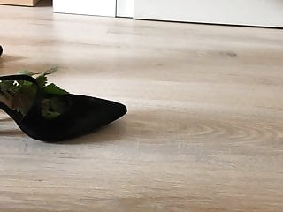 nettle leaves in the shoe