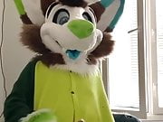 Fursuit masturbation