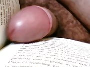 Desnudo