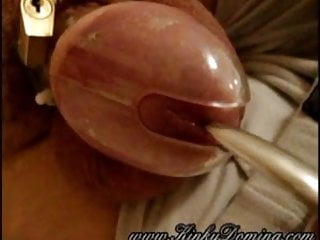 CBT, You Cock, Brunette, Cock Ball Torture