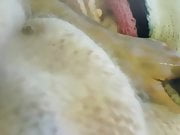 Pre-ejaculate in mohair