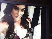 Brie Bella Tribute 01