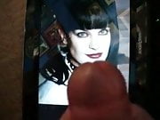 tribute to pauley perrette