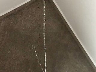 Dirty Carpet Wall Piss...
