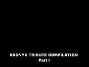BBCNYC TRIBUTE Compilation Part I