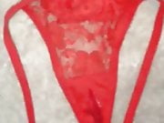 Eva's Slip 2