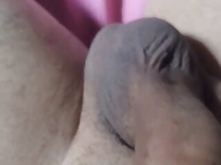 Sao Paulo, Mature, Amateur, Xhacamisinha