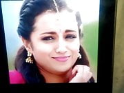 Trisha Thevidi Maami Tribute
