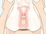 Animated intrauterine ejaculation376