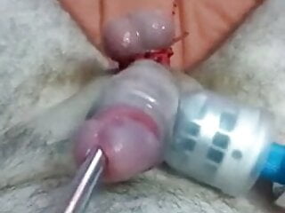 Sounding cumshot with tied balls...