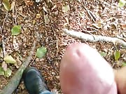 Cum im Wald