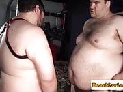 Obese bear cocksucking chubby dick