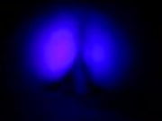 nightride