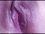 Wet Pussy Closeup