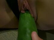 Thick cucumber 