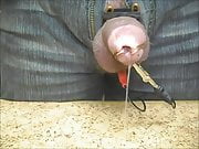 Ich bin ein Schwein