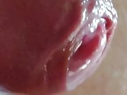 Close up uncut cum