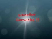 Camwichs mit User !!