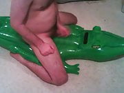 inflatable alligator hump 