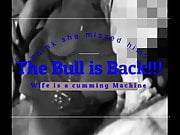 Bull is Back