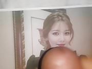 SNSD Sooyoung cum tribute