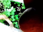 tribute2