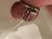 Pissing in chastity